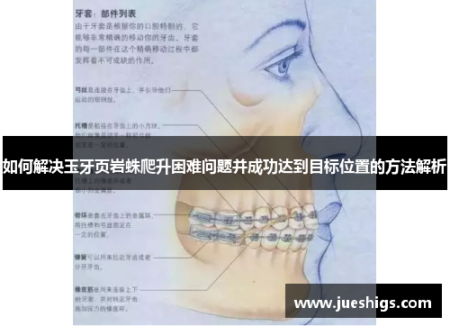 如何解决玉牙页岩蛛爬升困难问题并成功达到目标位置的方法解析