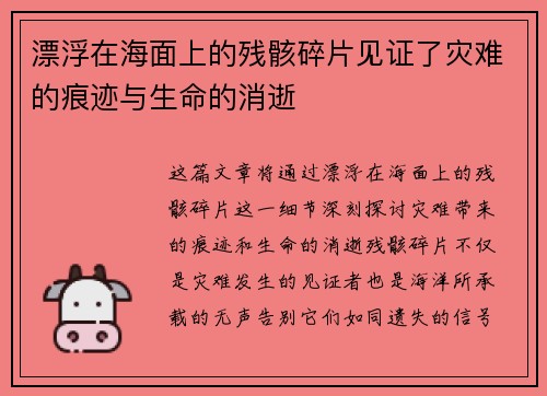 漂浮在海面上的残骸碎片见证了灾难的痕迹与生命的消逝